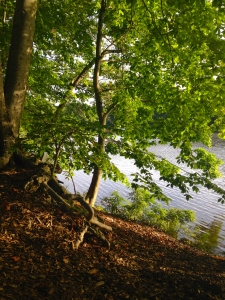 Upper lake, Shaker Lakes