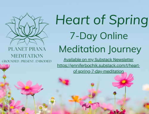 7 Day Meditation Challenge