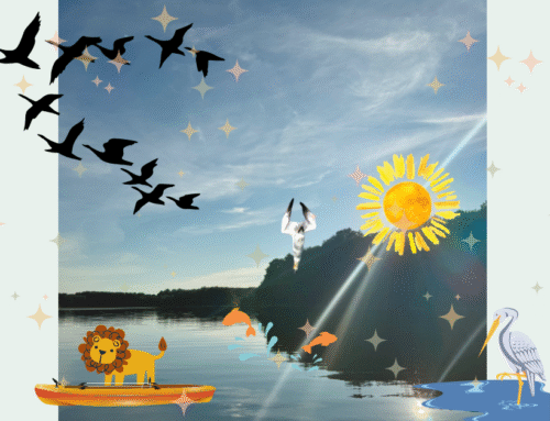 Solar Radiance: Connect to Your Light 🌞