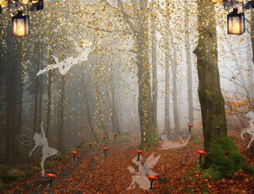 Gathering Autumn’s Abundance 🍎